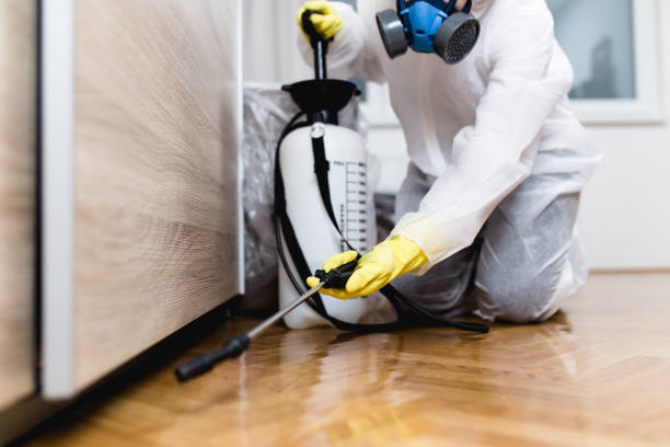 Best Best Pest Control Companies  in Talty, TX