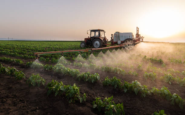 Best Best Pest Control Companies  in Talty, TX