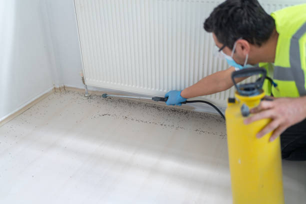 Best Wasp Removal Services  in Talty, TX