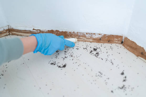  Talty, TX Pest Control Pros